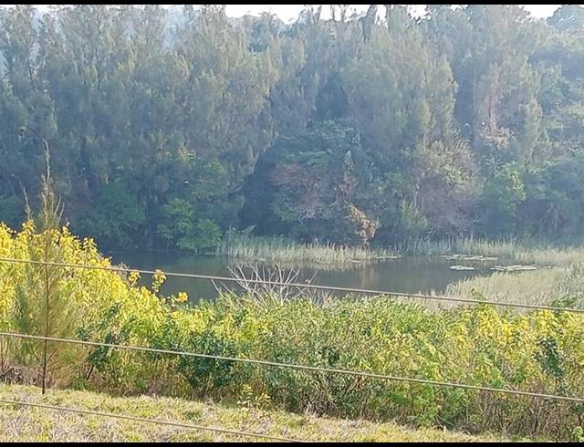 FARM FOR SALE IN LEISURE BAY